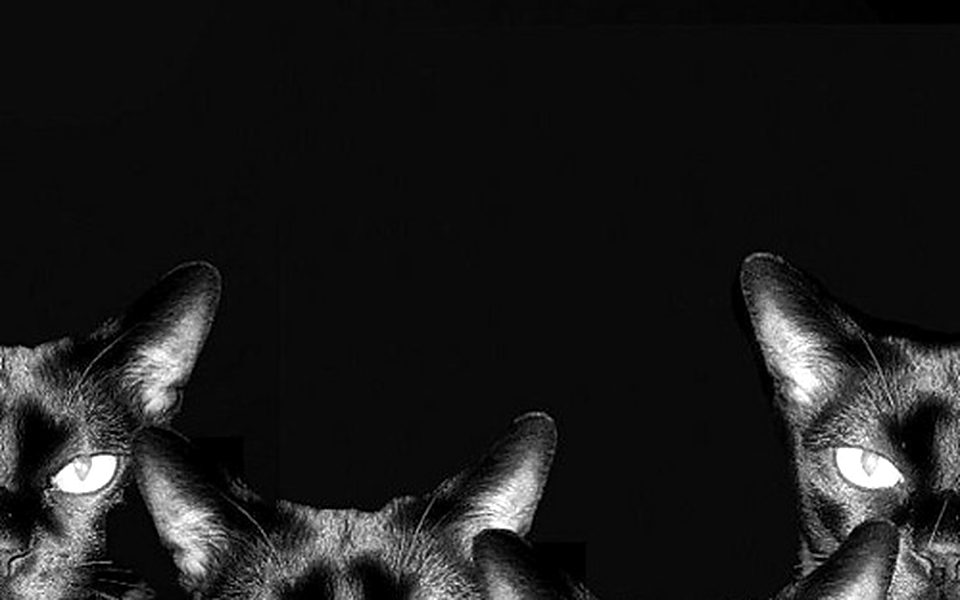 La beffa di Eutelia, condannati i lavoratori [FQ]