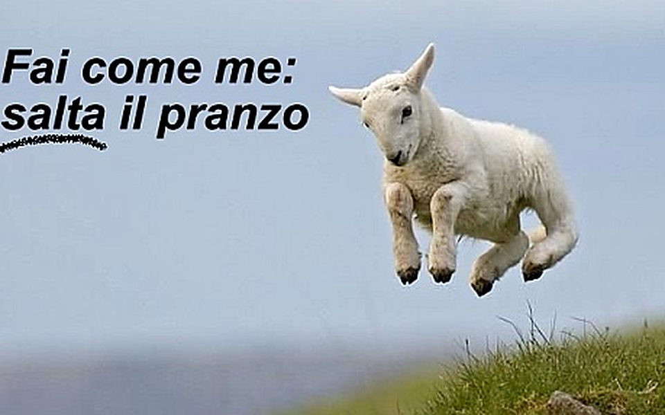 Non toccate il 5 per mille – www.iononcisto.org